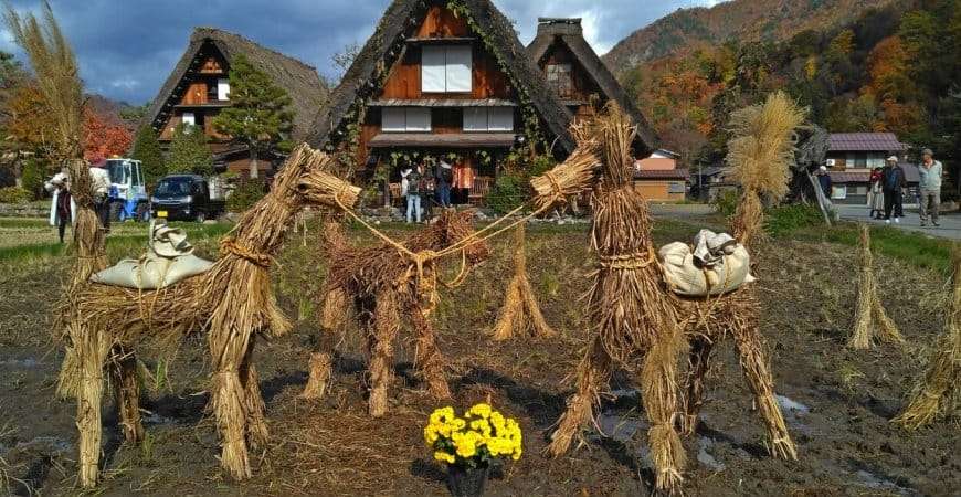 Клени момідзі в Японських Альпах (03.11-14.11.2019)